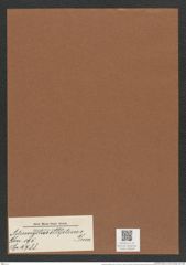 Actinocyclus ellypticus Grun. (de-Toni-Nr.: Genus 195, Species 4788) Zeichnungen Sammlung Grunow Mappe 04649 (Herbarium_W_Grunow_drawings_Folder_04649)